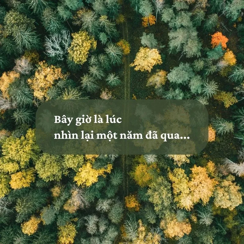 Nhìn lại nhau sau bấy nhiêu năm em được gì Gallery 2