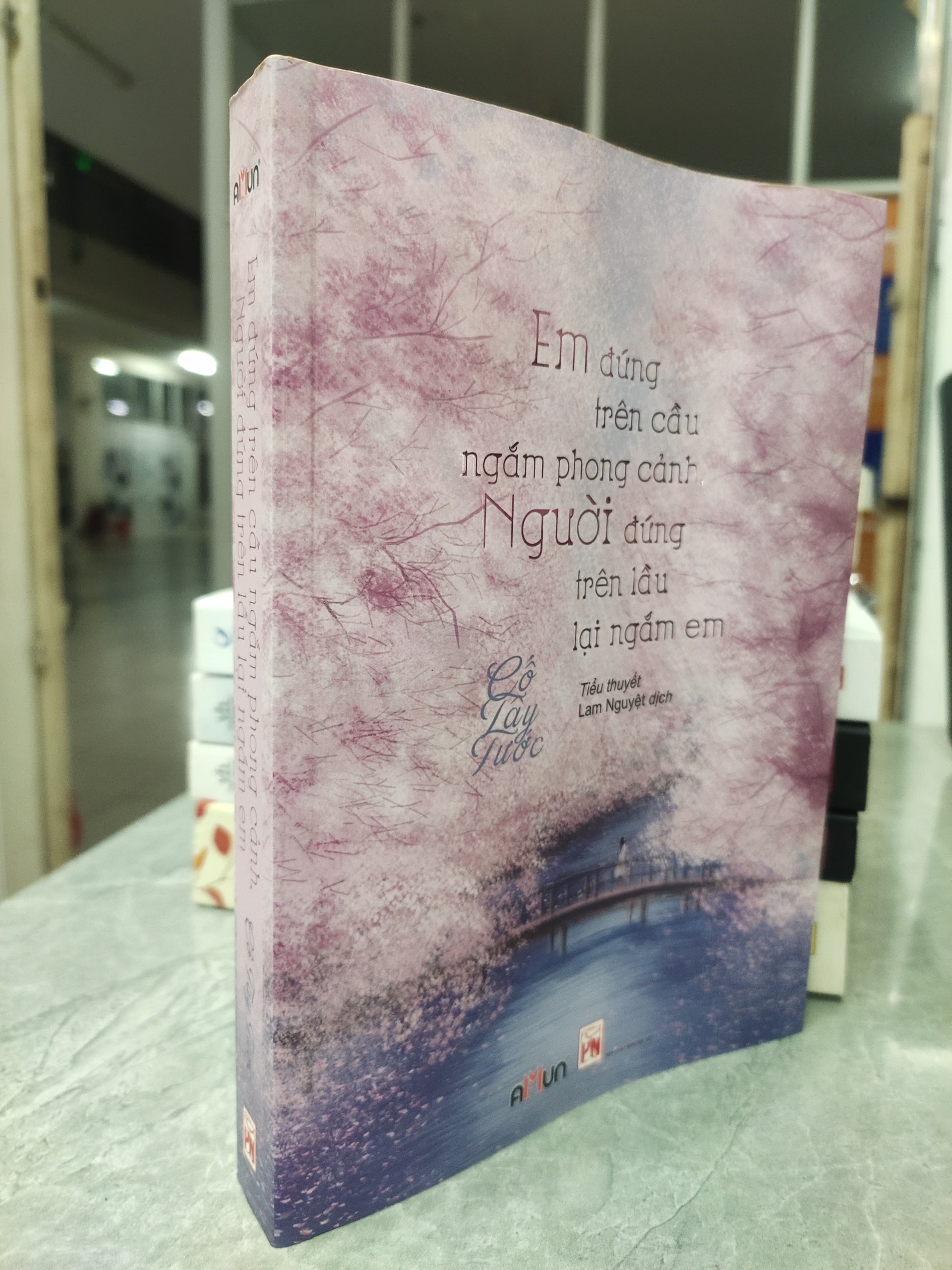 Em Đứng Trên Cầu Ngắm Phong Cảnh Gallery 1