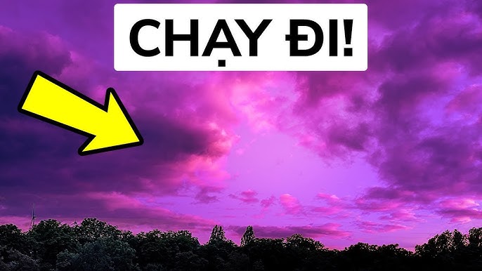 Bầu Trời Màu Tím Gallery 2