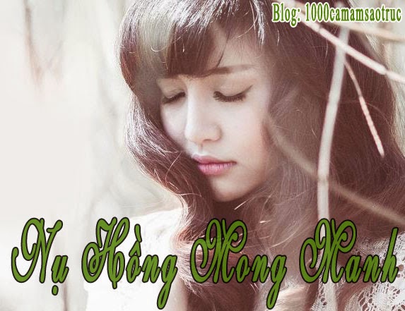 Nghe Bích Phương Nụ Hồng Mong Manh Gallery 2