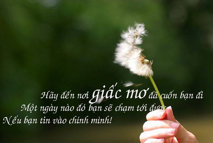 Những Điều Ước Hay Nhất Gallery 2