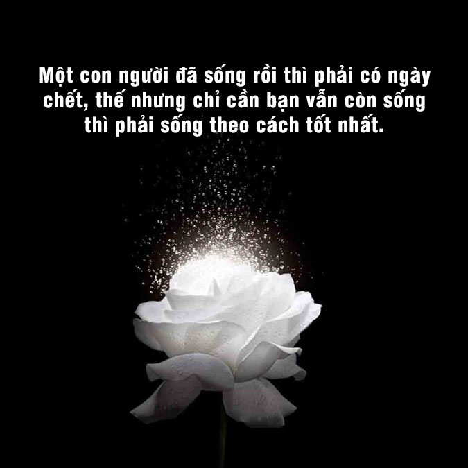STT về ông nội đã mất: Những dòng tâm sự đầy xúc động Gallery 1
