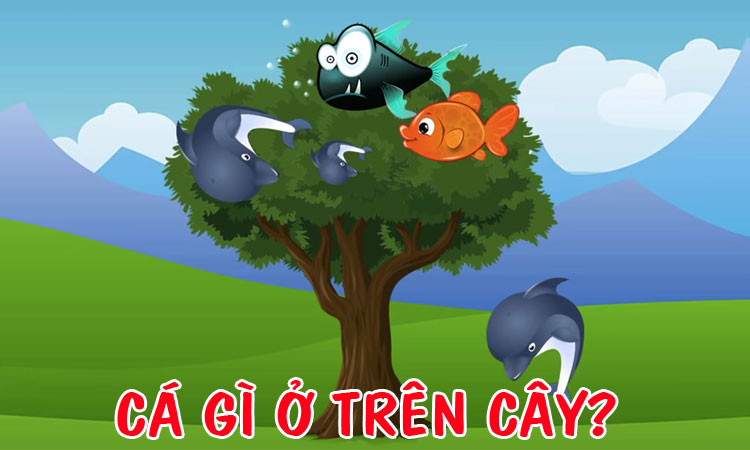 Những gì trên cây?