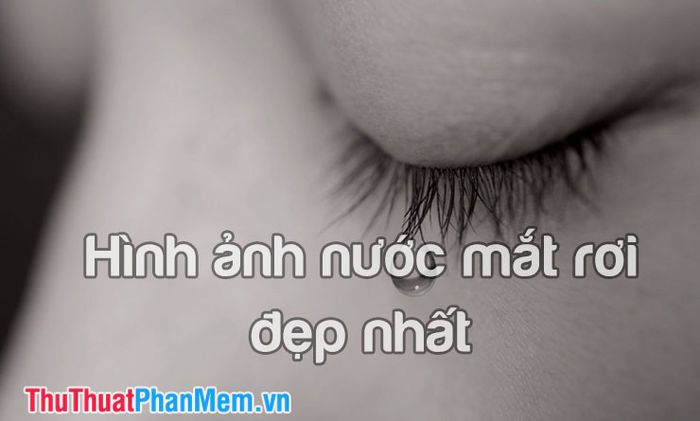 Những Giọt Nước Mắt Lăn Dài Trên Mi