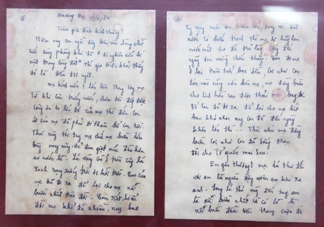 Thư Gửi Chồng Cờ Bạc: Lời Ru Tình Yêu Giữa Giông Bão Gallery 2