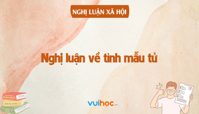 Kết Bài Hay Về Tình Mẫu Tử Gallery 1