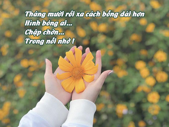 Thơ Hay Tháng 10 - Mùa Thu Vàng Rơi Gallery 2