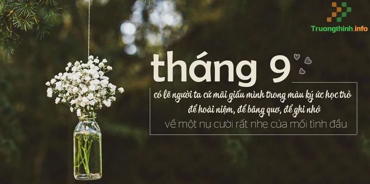 Thơ về tháng 9 - Mùa Thu Vàng Rơi Gallery 2