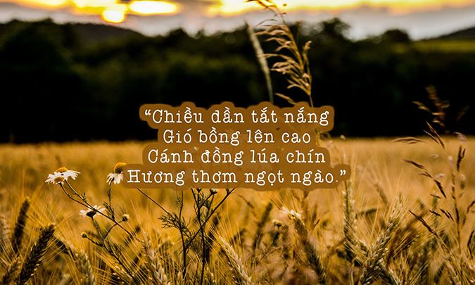 Những Bài Thơ Về Mùa Hè Hay Nhất Gallery 2