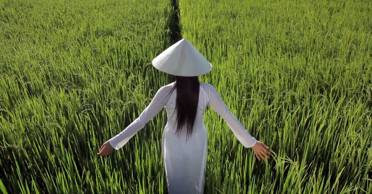 Đường Về Quê Thấy Sao Trong Lòng Vui Ghê Gallery 2