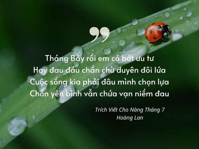 Thơ Về Tháng 7 - Mùa Hè Rực Rỡ Gallery 2
