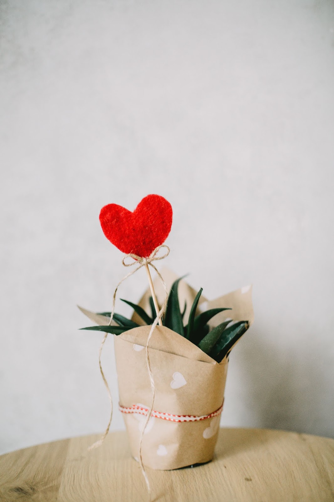 Nghệ thuật là tiếng nói của tình cảm Gallery 1
