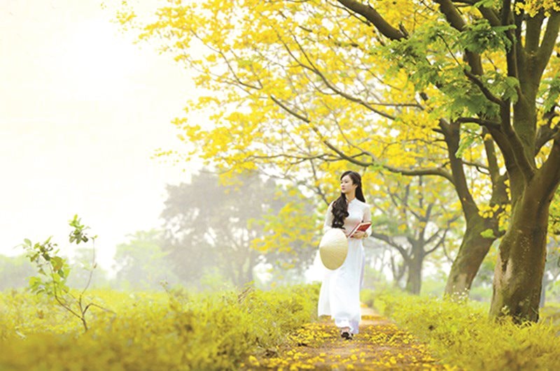Gió Heo May Đã Về Gallery 2