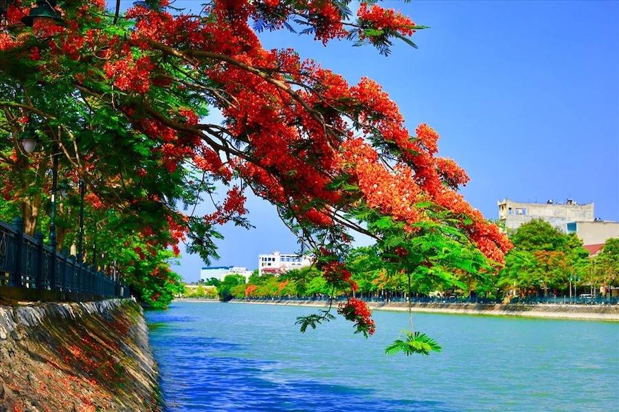 Hồ Tam Bạc Hải Phòng Gallery 2