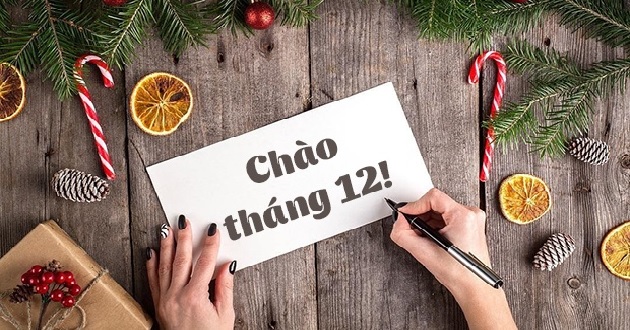 Xin chào tháng 12 Gallery 1