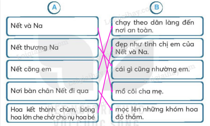 Tình cảm anh chị em: Gắn bó máu mủ, tình thân thiêng liêng Gallery 1