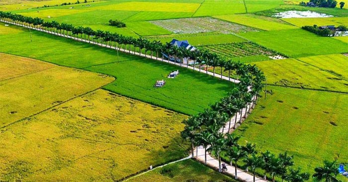 Cuộc sống ở nông thôn: Bình yên và giản dị Gallery 2