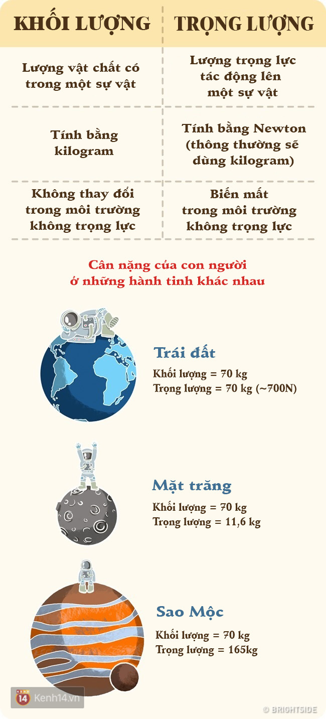 Kiến Thức Cơ Bản: Những Điều Cần Biết