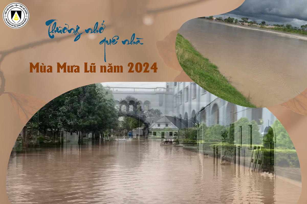 Nhớ Mẹ Năm Lụt Gallery 1