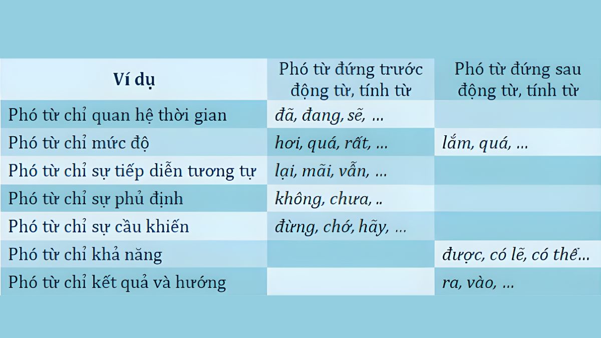Những Có Phải Là Phó Từ Không? Gallery 1