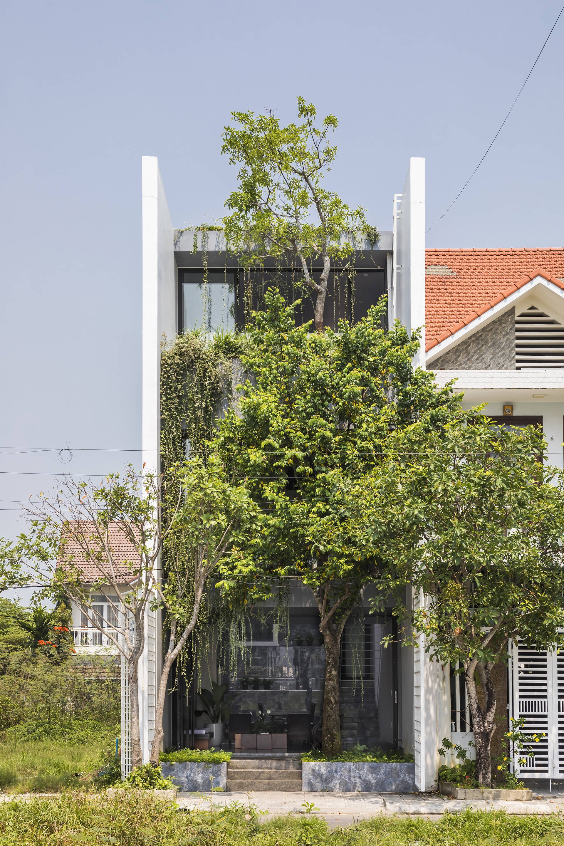 Những Cây Không Nên Trồng Trước Nhà Gallery 1