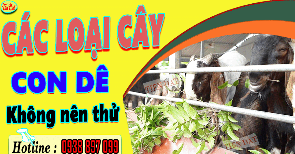 Dê ăn lá cây gì? Gallery 2