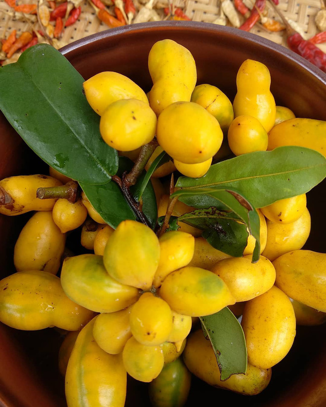 Những Loại Trái Cây Mọc Thành Chùm