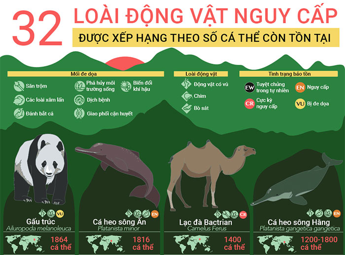 Những Loài Vật Tuyệt Chủng Gần Đây
