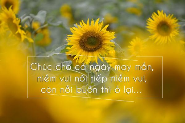 Những Lời Chào Buổi Sáng Hay Nhất Để Bắt Đầu Ngày Mới Tươi Đẹp