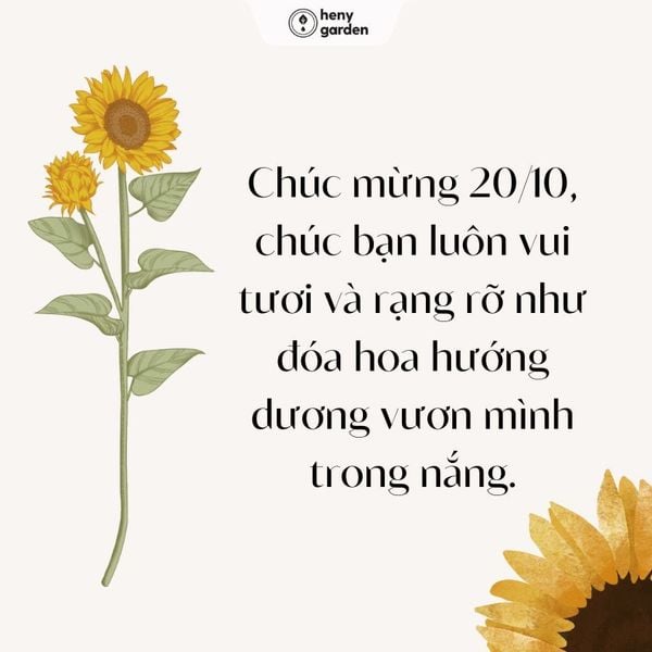 Lời Chúc 20/10 Hay Nhất Dành Tặng Bạn Bè Gallery 1