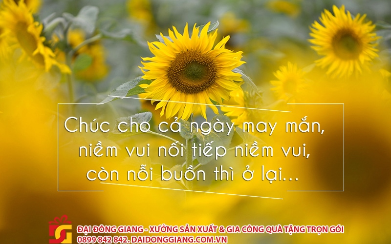 Lời Chúc Bình An, May Mắn Ngắn Gọn Gallery 1