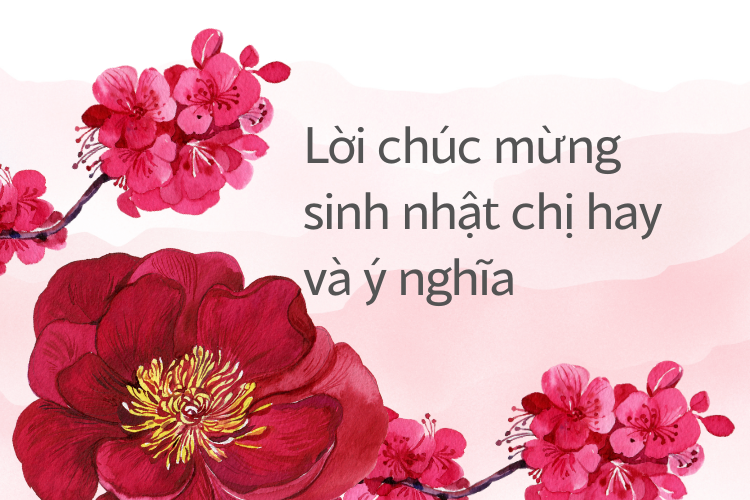 Những Lời Chúc Mừng Sinh Nhật Chị Gái Hay Nhất Gallery 2