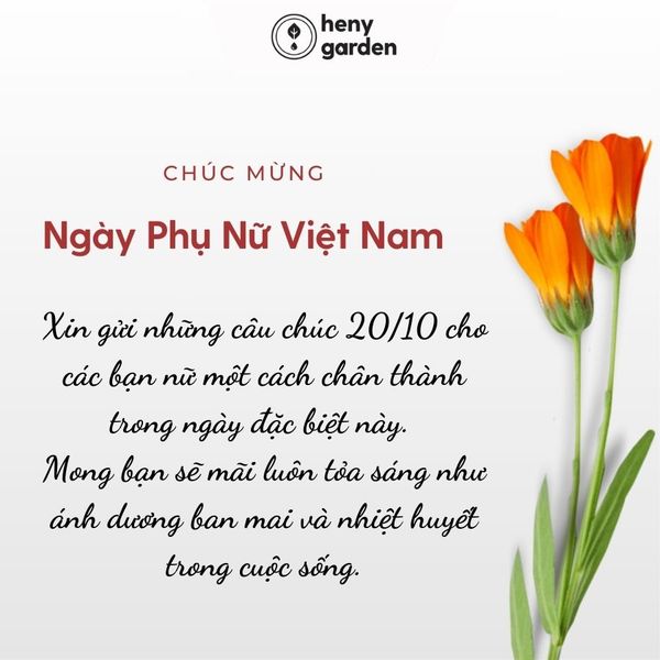 Lời Chúc 20/10 Hay Nhất Cho Các Bạn Nữ Trong Lớp Gallery 1
