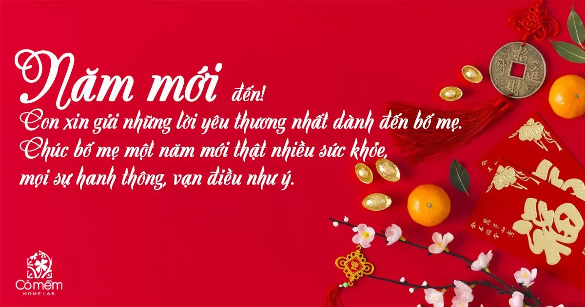 Những Lời Chúc Tết Bố Mẹ Hay Nhất Gallery 1