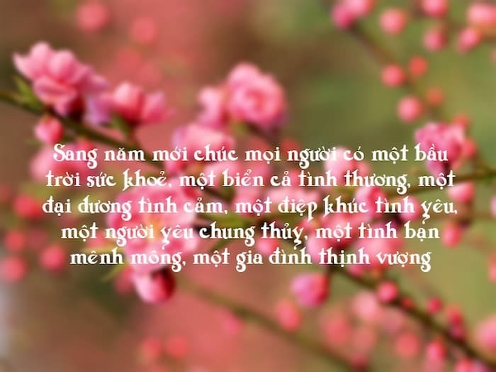 Lời Chúc Tết Cô Chú Ấm Áp, Chân Thành Nhất Gallery 2