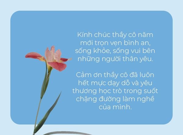 Những Lời Chúc Tết Hay Nhất Cho Thầy Cô Gallery 2
