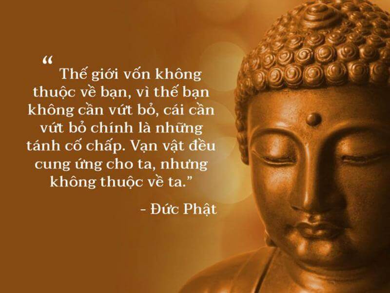 Những Câu Nói Hay Về Phật Giáo - Triết Lý Sống Mà Ai Cũng Nên Biết Gallery 2