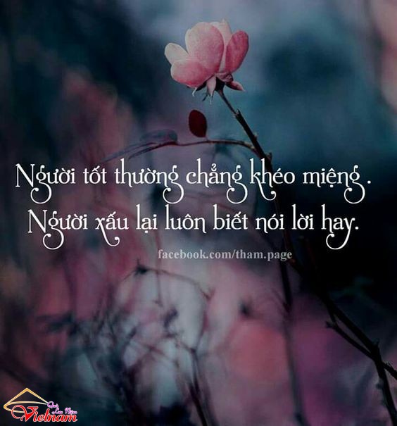 Những Lời Hay Ý Đẹp Trong Cuộc Sống