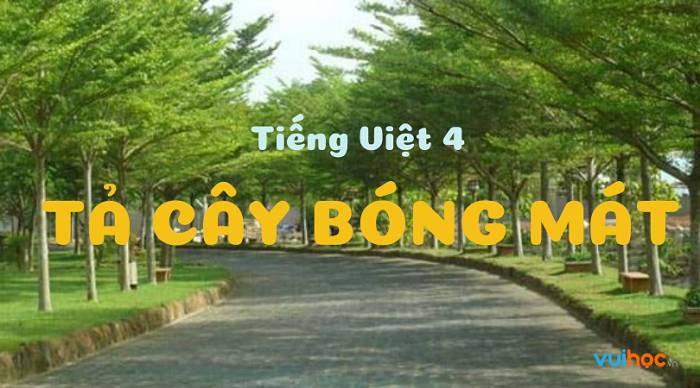 Cây Bóng Mát Gallery 2