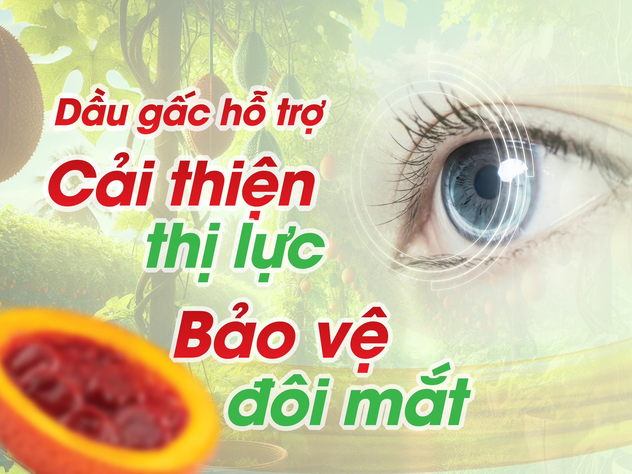 Cách Sử Dụng Dầu Gấc Cho Mắt Hiệu Quả Gallery 1