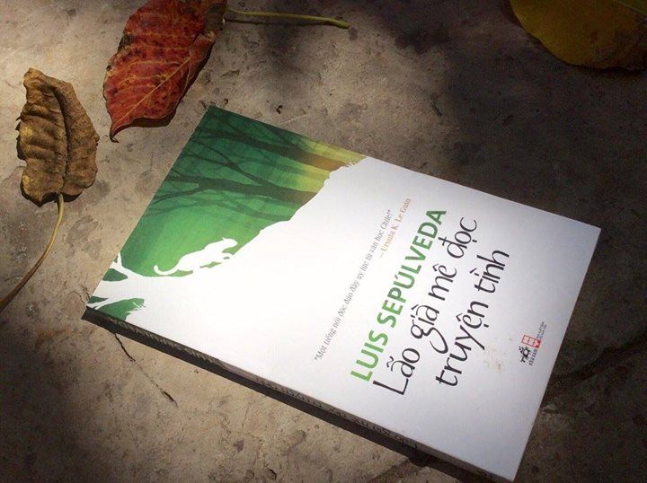 Lão Già Mê Đọc Truyện Tình: Thế Giới Tình Yêu Qua Con Mắt Tuổi Già Gallery 2