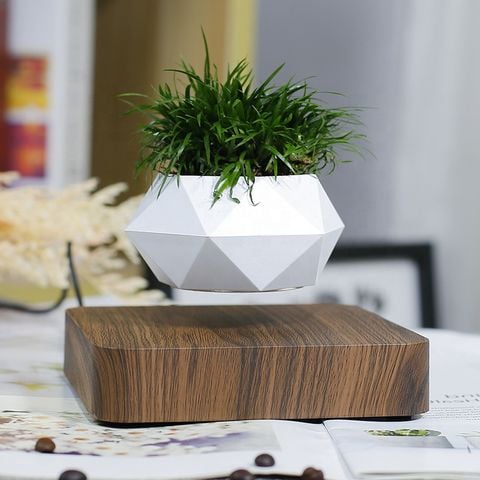 Chậu Cây Lơ Lửng: Mang Thiên Nhiên Đến Không Gian Sống Của Bạn Gallery 2
