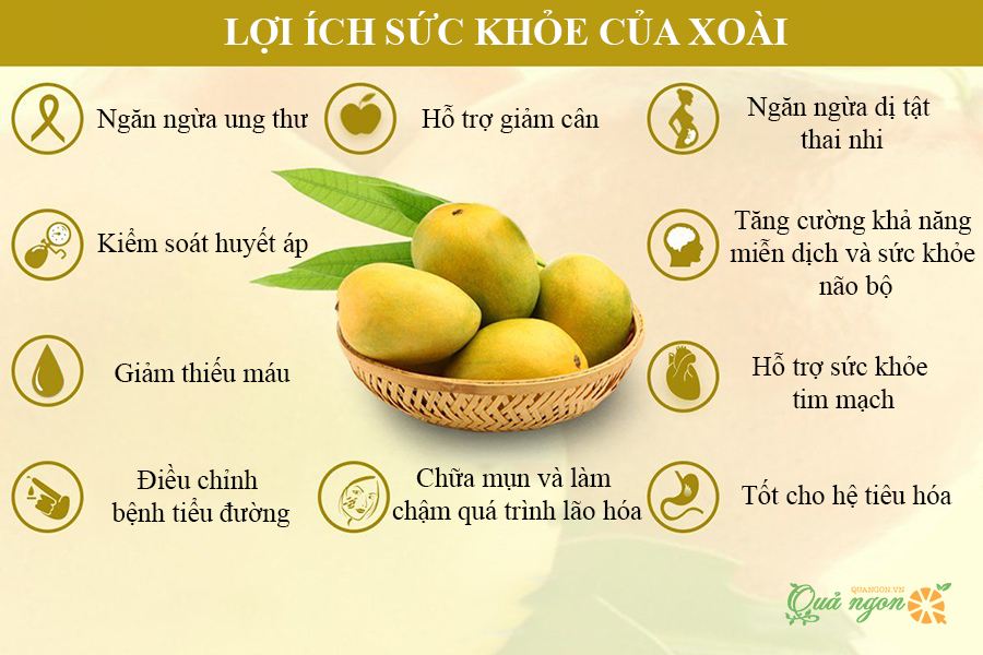 Công dụng tuyệt vời của xoài chín đối với sức khỏe Gallery 1