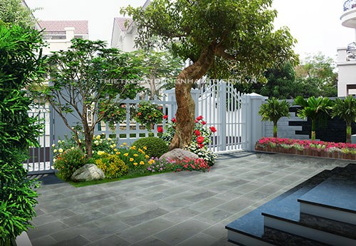 Cây Trồng Trước Cổng Nhà: Lựa Chọn Hoàn Hảo Cho Không Gian Xanh Gallery 1