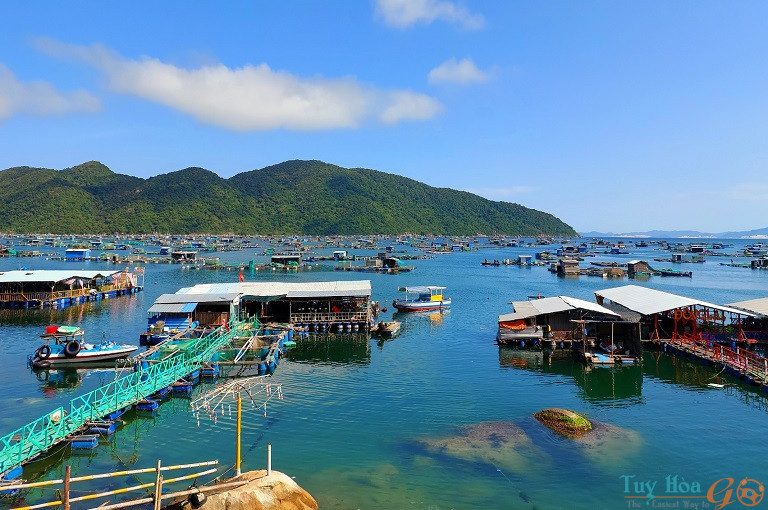 Bè Nổi Vũng Rô - Trải Nghiệm Du Lịch Biển Tuyệt Vời Gallery 2