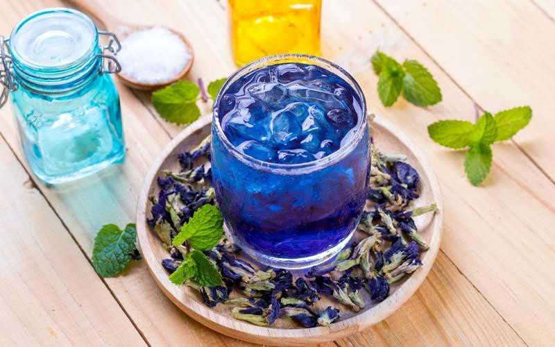Bầu uống hoa đậu biếc được không? Gallery 2