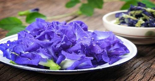 Bác sĩ nói gì về hoa đậu biếc? Gallery 2