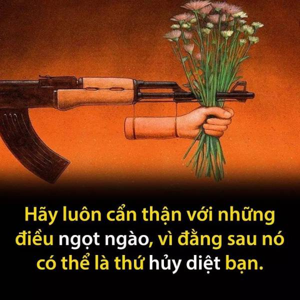 Mật Ngọt Chết Ruồi: Bí Quyết Thu Hút Và Tiêu Diệt Ruồi Hiệu Quả Gallery 2