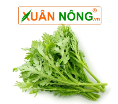Tháng Giêng Trồng Rau Gì? Gallery 2
