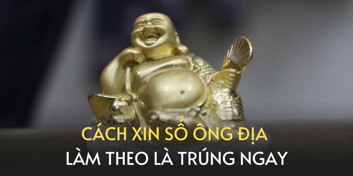 Xin Lô Miền Bắc Gallery 2